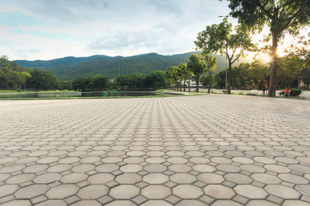 Professional Driveway Pavers in Kittredge, CO